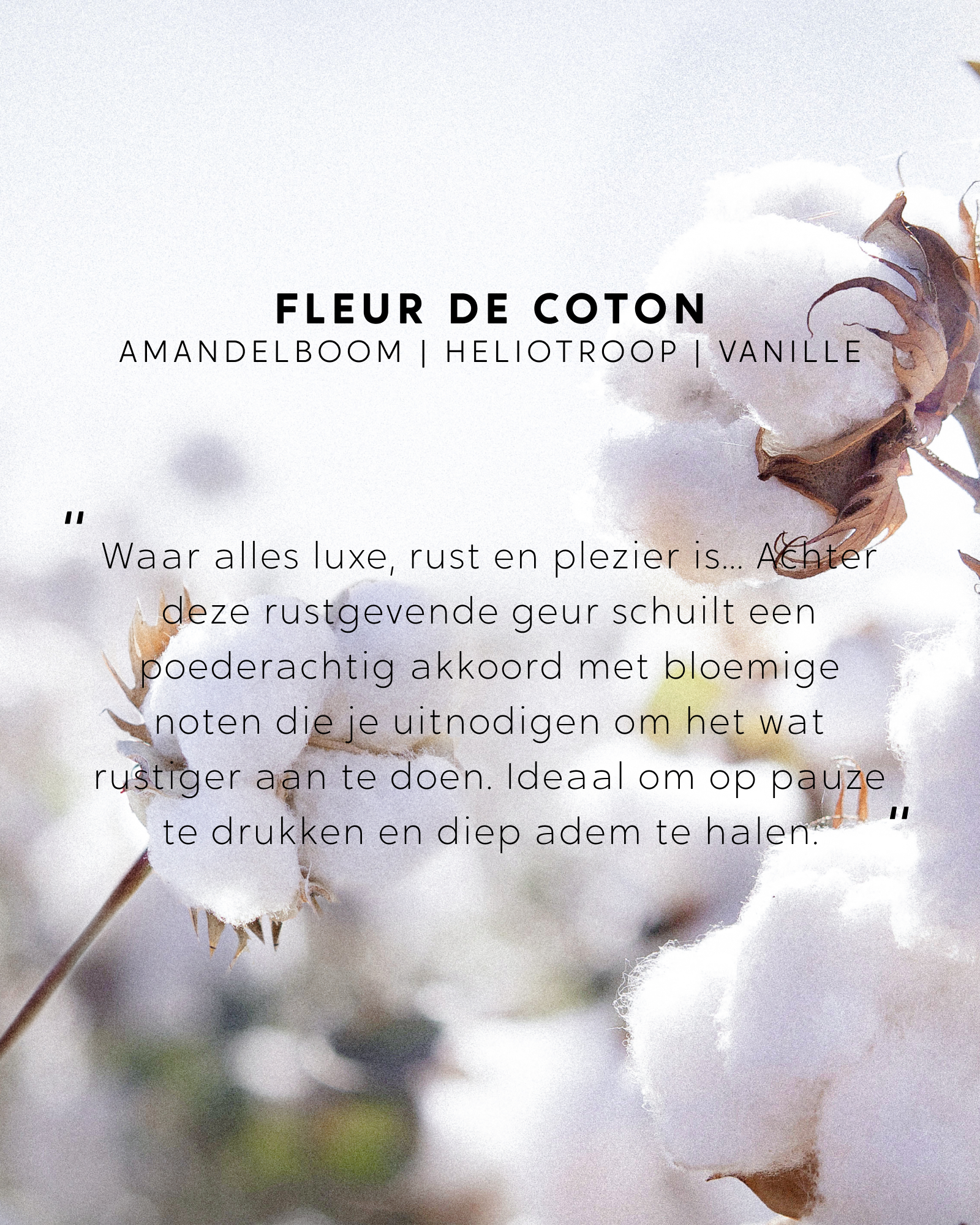 Geurstokjes Linge Frais