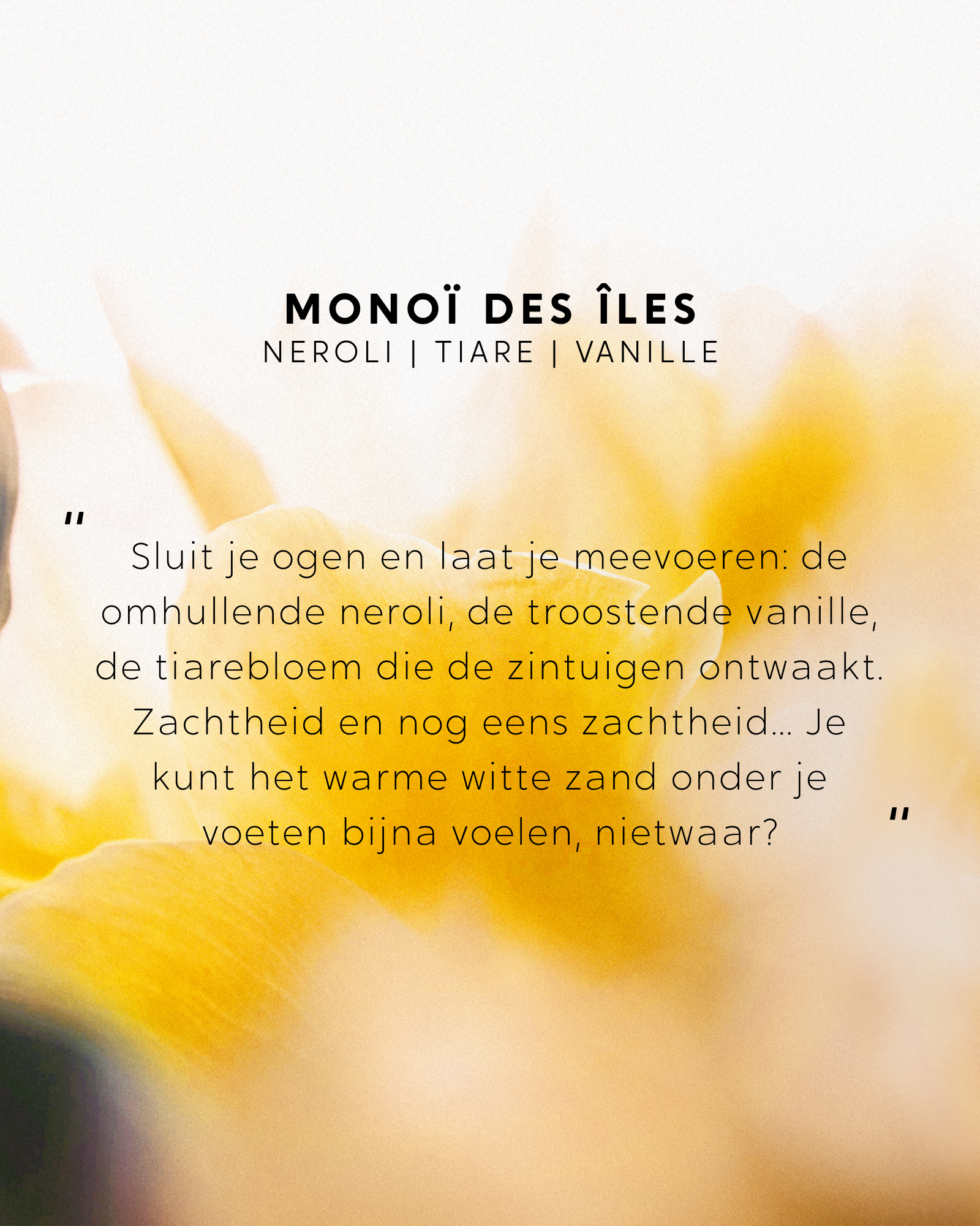Geurstokjes Monoï des Îles