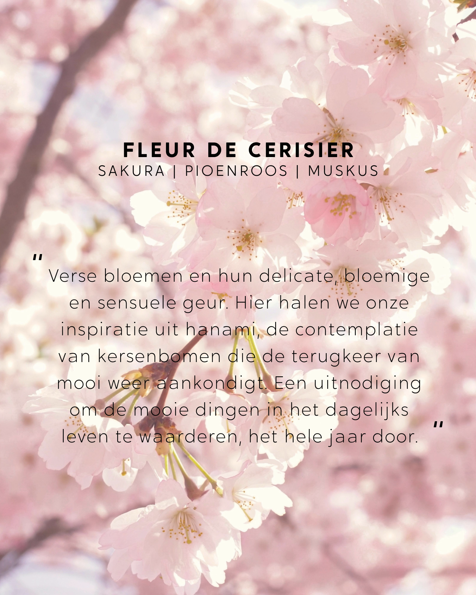 Roomspray Fleur de Cerisier