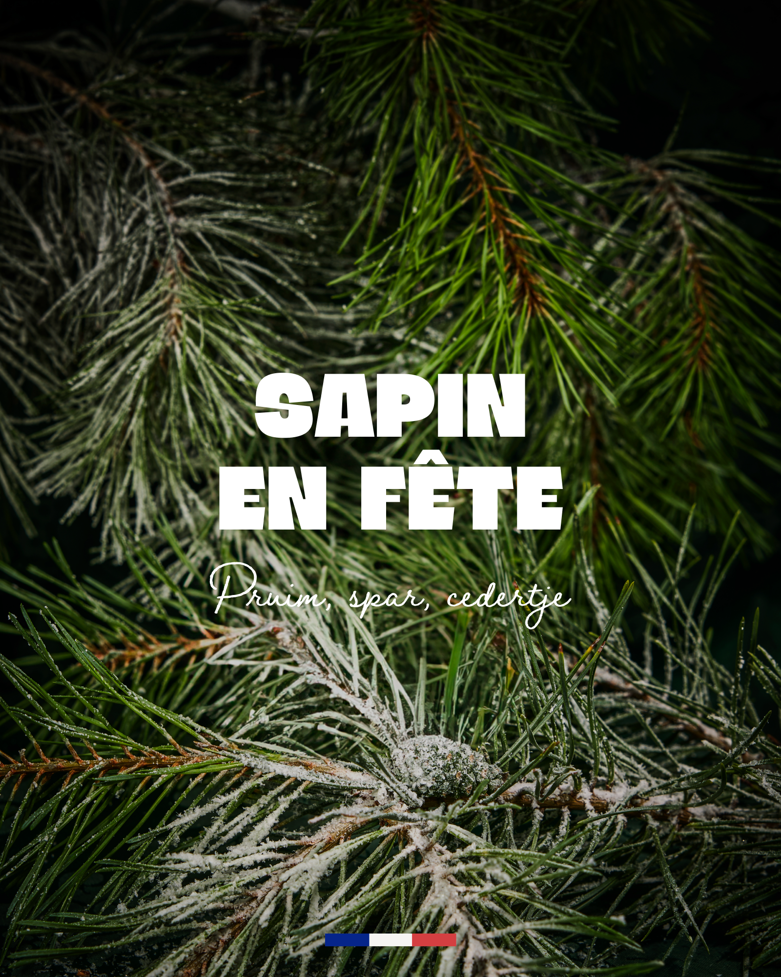 Geurkaars met sieraad armband Sapin en Fête