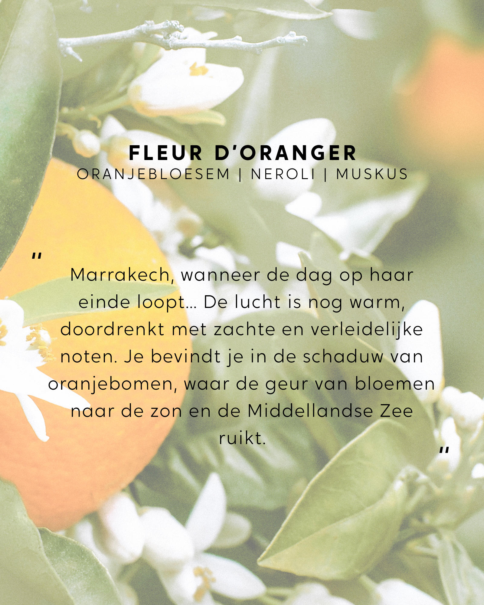 Geurstokjes Fleur d'Oranger