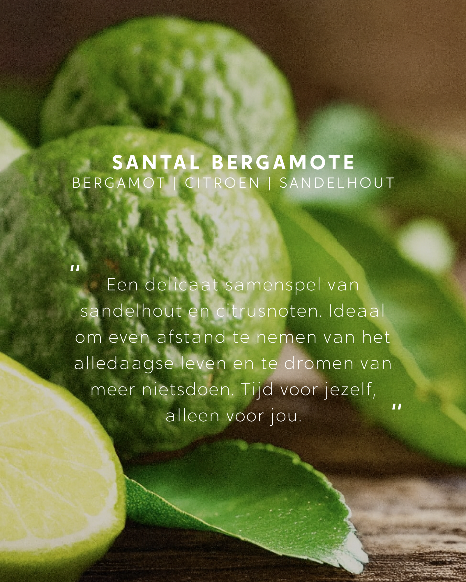 Geurstokjes Santal Bergamote