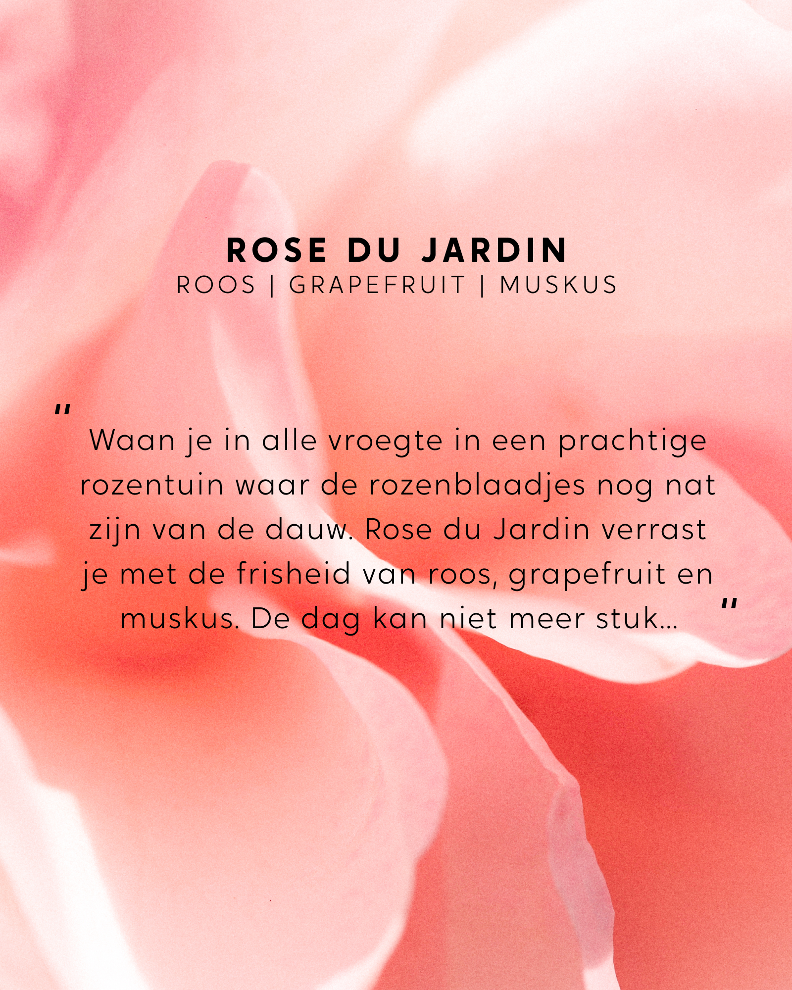 Roomspray Rose du Jardin